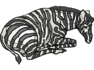Sticker Custom Preview Image #025439 Animals Land Animals Zebra11