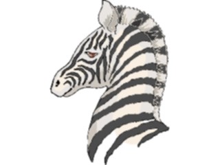 Sticker Custom Preview Image #025440 Animals Land Animals Zebra12