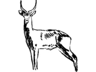 Sticker Custom Preview Image #025456 Animals Line Art Antelope09