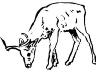 Sticker Custom Preview Image #025462 Animals Line Art Antelope15