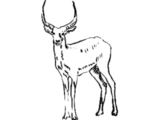 Sticker Custom Preview Image #025463 Animals Line Art Antelope16