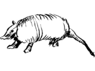 Sticker Custom Preview Image #025465 Animals Line Art Armadillo