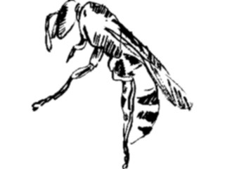 Sticker Custom Preview Image #025470 Animals Line Art Bee