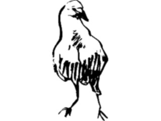 Sticker Custom Preview Image #025471 Animals Line Art Bird01