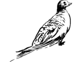 Sticker Custom Preview Image #025476 Animals Line Art Bird06