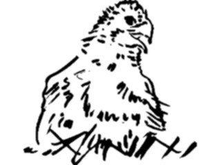 Sticker Custom Preview Image #025482 Animals Line Art Bird12