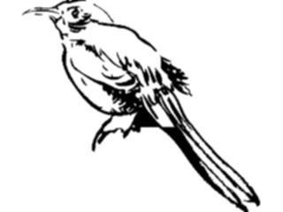 Sticker Custom Preview Image #025483 Animals Line Art Bird13