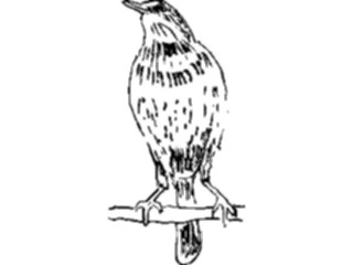 Sticker Custom Preview Image #025484 Animals Line Art Bird14