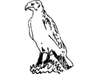 Sticker Custom Preview Image #025488 Animals Line Art Bird18