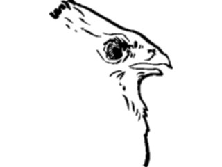 Sticker Custom Preview Image #025489 Animals Line Art Bird19