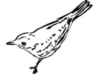 Sticker Custom Preview Image #025490 Animals Line Art Bird20