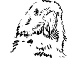 Sticker Custom Preview Image #025491 Animals Line Art Bird21