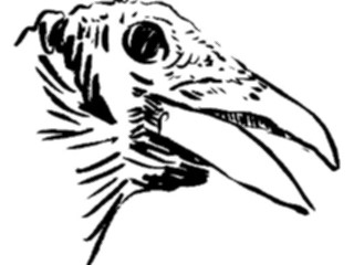Sticker Custom Preview Image #025493 Animals Line Art Bird23