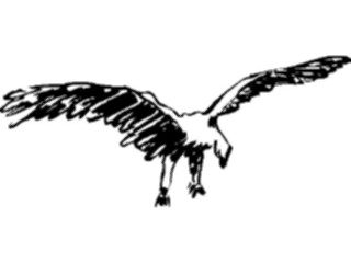 Sticker Custom Preview Image #025497 Animals Line Art Bird Flying03