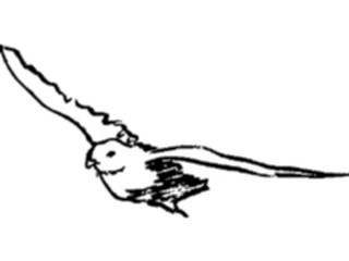 Sticker Custom Preview Image #025498 Animals Line Art Bird Flying04