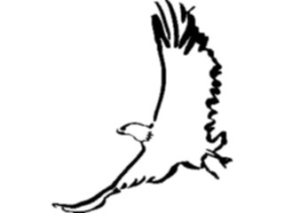 Sticker Custom Preview Image #025501 Animals Line Art Bird Flying07