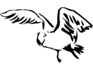 Sticker Custom Preview Image #025503 Animals Line Art Bird Flying09