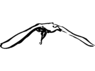 Sticker Custom Preview Image #025508 Animals Line Art Bird Flying14