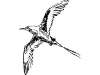 Sticker Custom Preview Image #025509 Animals Line Art Bird Flying15