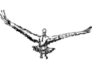 Sticker Custom Preview Image #025510 Animals Line Art Bird Flying16