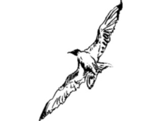 Sticker Custom Preview Image #025511 Animals Line Art Bird Flying17