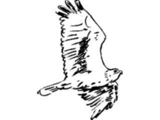 Sticker Custom Preview Image #025512 Animals Line Art Bird Flying18