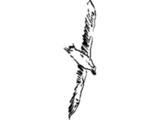 Sticker Custom Preview Image #025513 Animals Line Art Bird Flying19