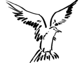 Sticker Custom Preview Image #025515 Animals Line Art Bird Flying21