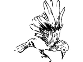 Sticker Custom Preview Image #025516 Animals Line Art Bird Flying22