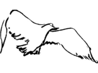 Sticker Custom Preview Image #025521 Animals Line Art Bird Flying27
