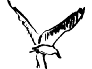Sticker Custom Preview Image #025523 Animals Line Art Bird Flying29