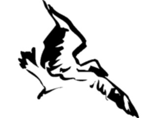 Sticker Custom Preview Image #025524 Animals Line Art Bird Flying30