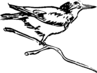 Sticker Custom Preview Image #025526 Animals Line Art Bird Perched02