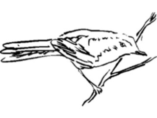 Sticker Custom Preview Image #025530 Animals Line Art Bird Perched06