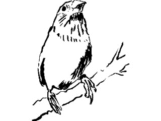 Sticker Custom Preview Image #025531 Animals Line Art Bird Perched07