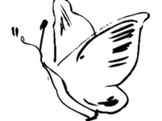 Sticker Custom Preview Image #025537 Animals Line Art Butterfly1
