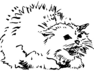 Sticker Custom Preview Image #025547 Animals Line Art Cat07