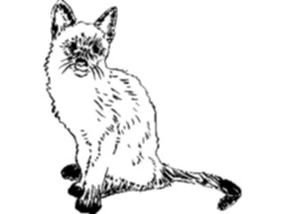 Sticker Custom Preview Image #025548 Animals Line Art Cat08