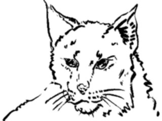 Sticker Custom Preview Image #025553 Animals Line Art Cat13