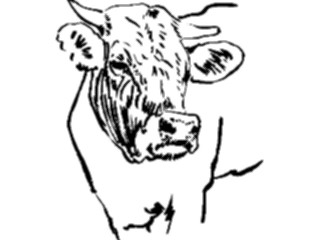 Sticker Custom Preview Image #025561 Animals Line Art Cow