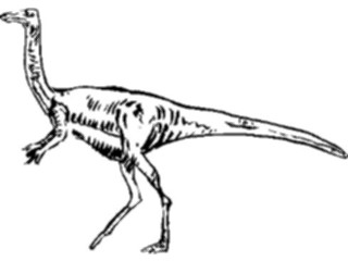 Sticker Custom Preview Image #025574 Animals Line Art Dinosaur04