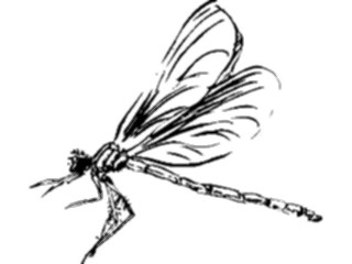 Sticker Custom Preview Image #025615 Animals Line Art Dragonfly2