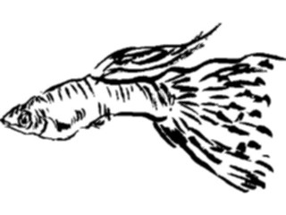 Sticker Custom Preview Image #025632 Animals Line Art Fish04