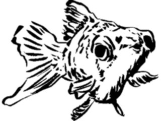 Sticker Custom Preview Image #025635 Animals Line Art Fish07