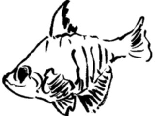 Sticker Custom Preview Image #025636 Animals Line Art Fish08