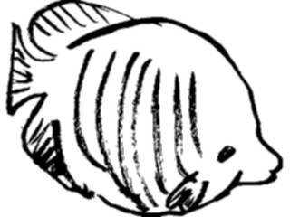 Sticker Custom Preview Image #025642 Animals Line Art Fish14