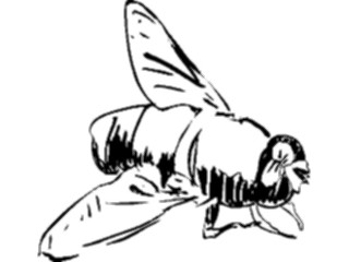 Sticker Custom Preview Image #025644 Animals Line Art Fly1