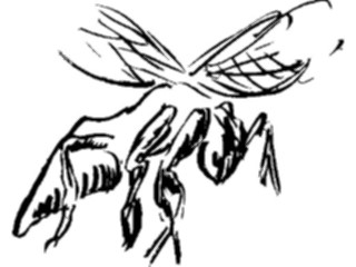 Sticker Custom Preview Image #025647 Animals Line Art Flying Insect2