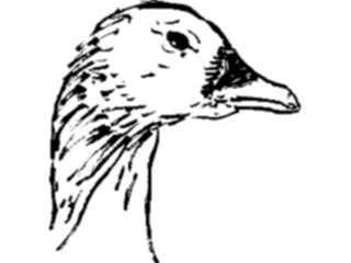 Sticker Custom Preview Image #025657 Animals Line Art Goose1