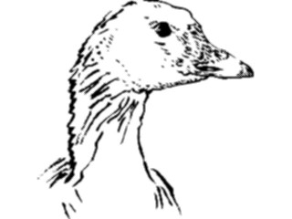 Sticker Custom Preview Image #025659 Animals Line Art Goose3